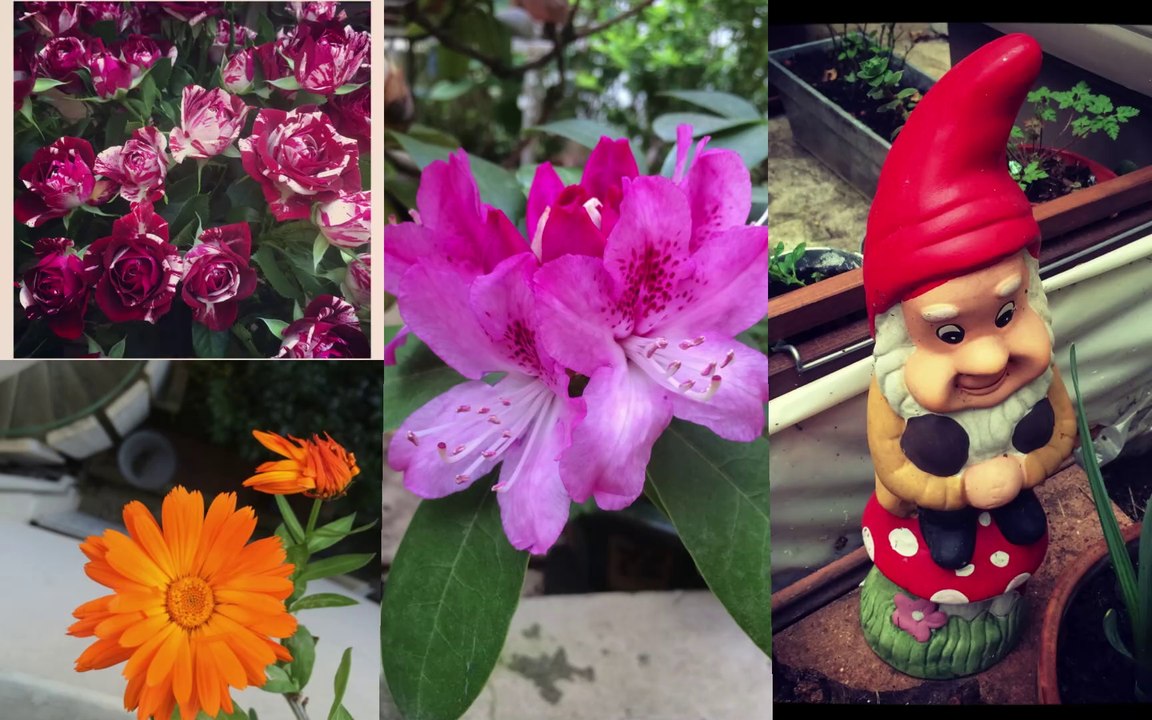 Diaporama Printemps  2014