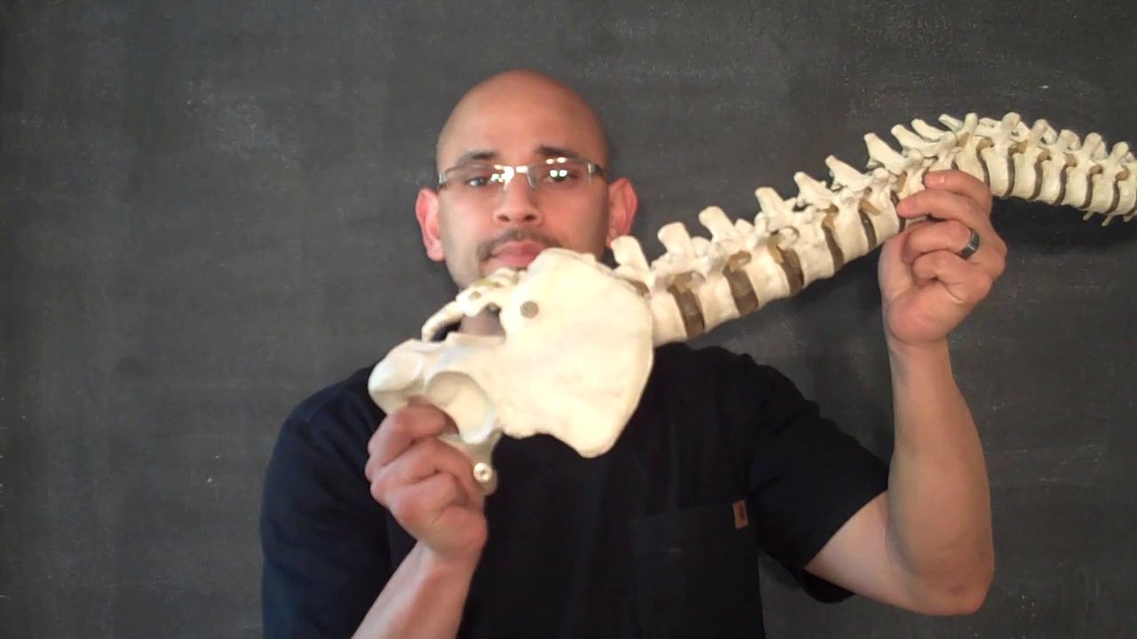 Atlanta Chiropractor - Proper Lifting Techniques for Low Back - Personal Injury Doctor Atlanta - Car Accident Doctor Atlanta - Personal Injury Doctor Gainesville GA - Chiropractor Gainesville GA