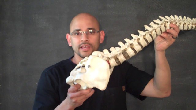 Quiropractico Atlanta / Woodstock GA - La Forma Correcta de Agacharse - Quiropractico Gainesville GA