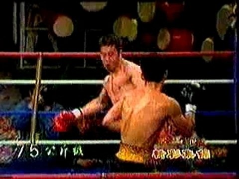 Sanda Wang (Sanshou Highlights) Kung Fu