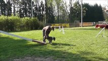 Nadege et Moka entrainement d'agility du 13/04/2014