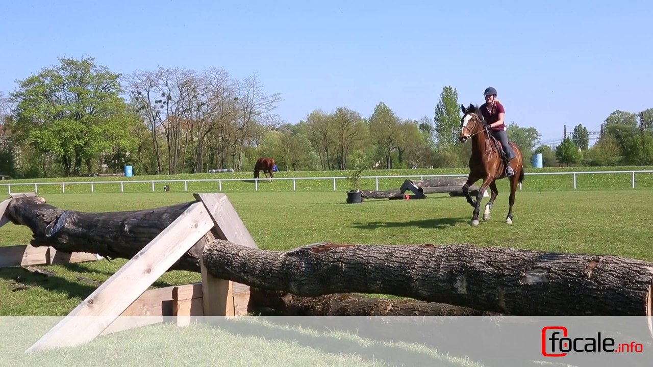 Concours hippique Agro Jump