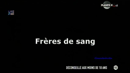 Frères de sang[j'ai tué mon meilleur ami]