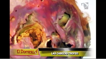 Las cabezas trofeo: el lado más impactante y bizarro de nuestra historia