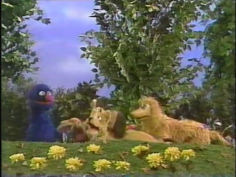Sesame Street Episode 3186: Part 2