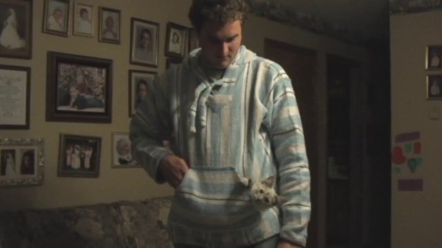 Kitty in a hoodie pocket like a kangaroo!