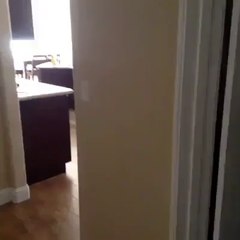 Bu çocuk daha da iflah olmaz - takozovic.com