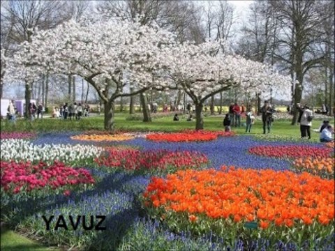 SELAMI ŞAHIN-SENSİZ OLMUYOR