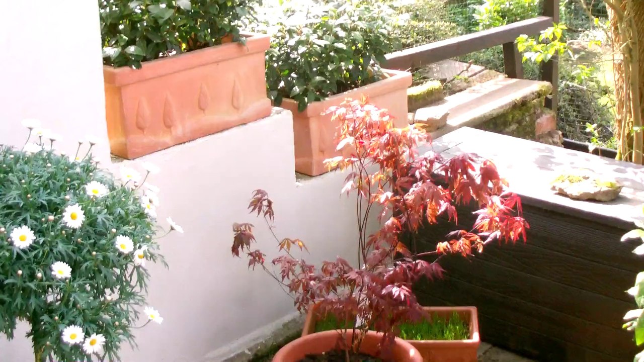 Katzenterrasse inneneinrichtung 13042014