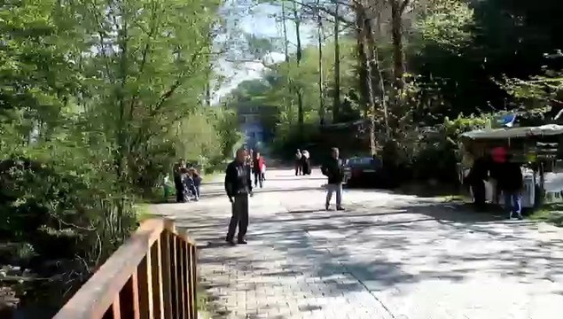 MAŞUKİYE KARTEPE SAPANCA TURU