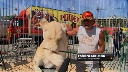 Le cirque Pinder de retour à Lyon