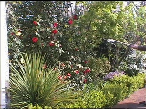 Frelon asiatique : Chasse de printemps PincePassoire à Rallonge