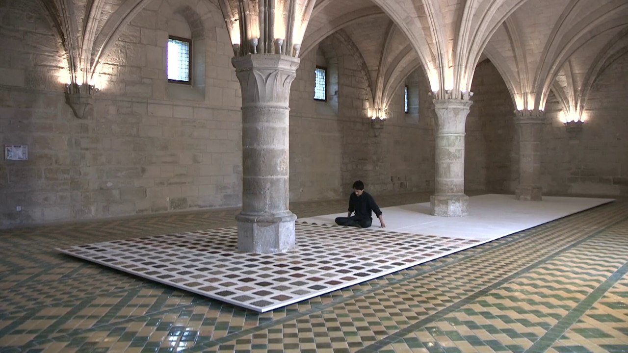 Mille terres mille vies