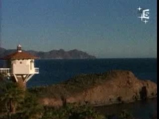 Plongée avec des calamars de Humboldt