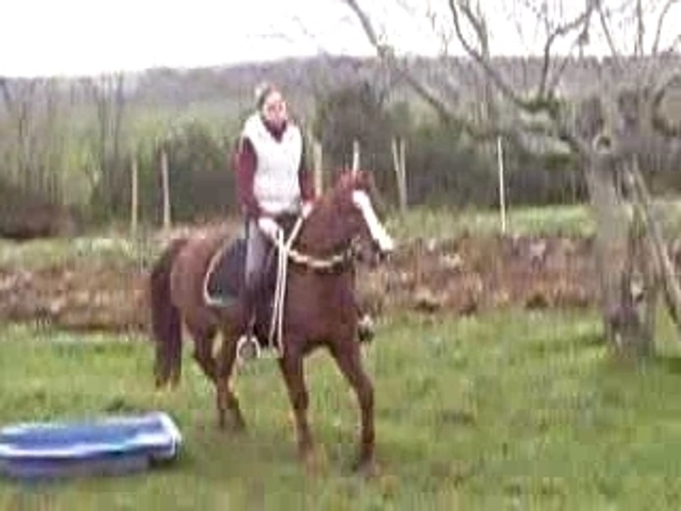 IMGP0606