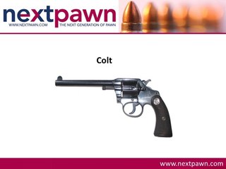 Secured Loan On Guns