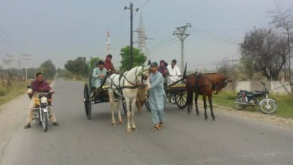 akhtar khan uk and nasir uk new horses try 12-4-14