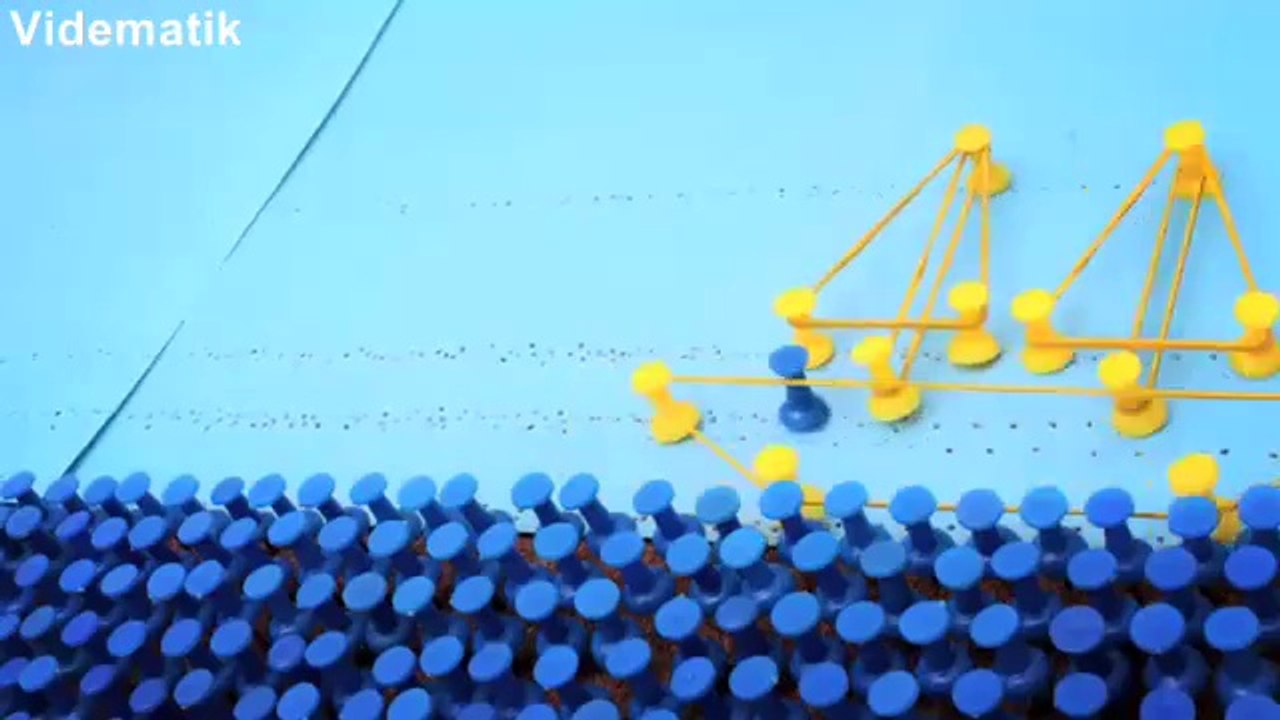 Mantar panoda raptiyelerle yapılmış müthiş animasyon (Elastika)