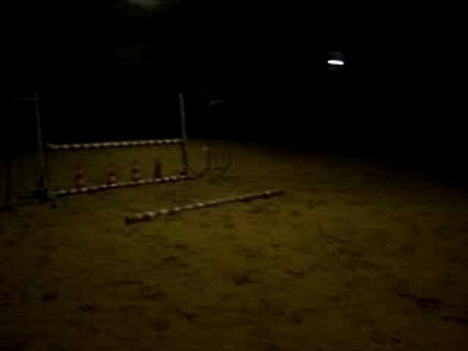 MOV01428
