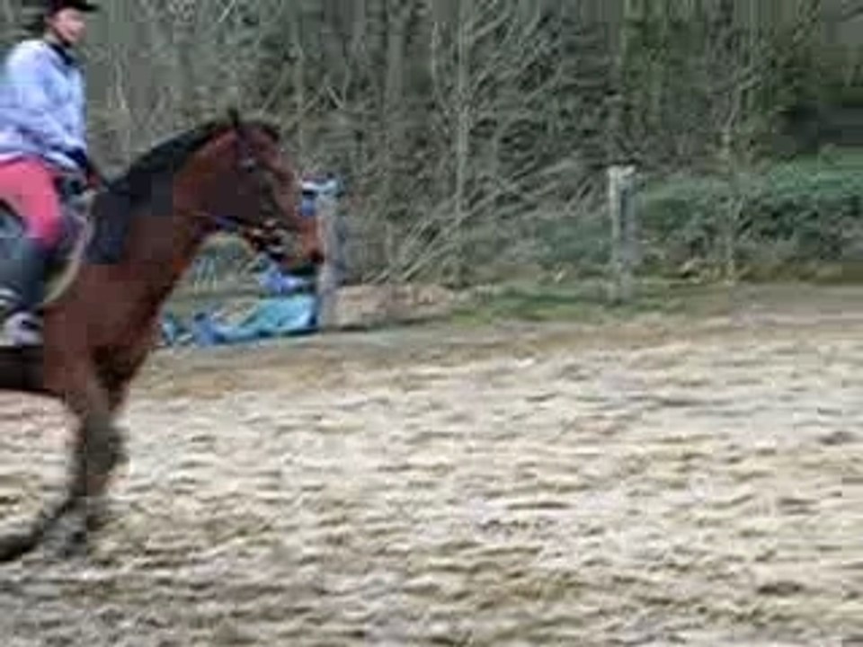 Moi au galop avec keno