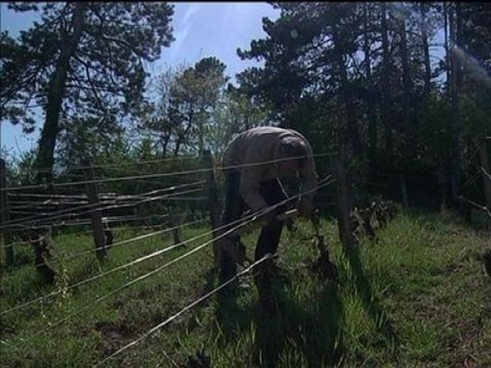 Emmanuel Giboulot, "lanceur d'alerte" anti pesticides
