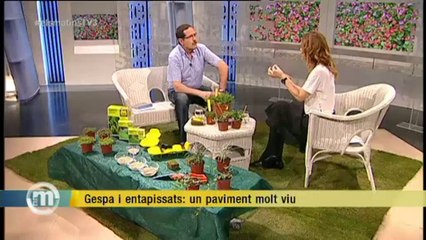 TV3 - Els Matins - Gespa i entapissats: un paviment molt viu