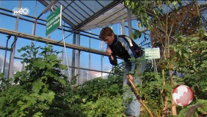 Au temps des jardins : l'exotisme à portée de main