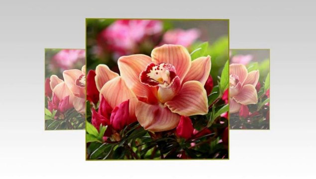 GÜLÜ SUSUZ SENİ AŞKSIZ BIRAKMAM