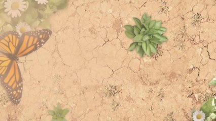 Mini Split Air Conditioning Units in Auburn (A Thermostat).