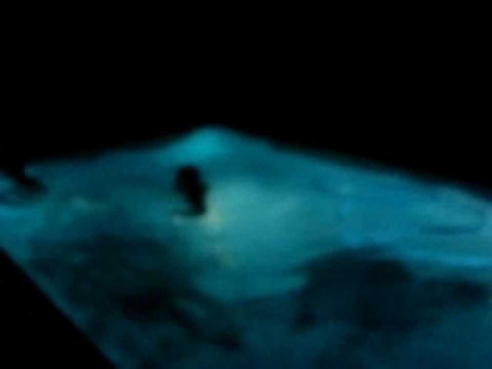 Bonne année!!! Ti saut dans la piscine