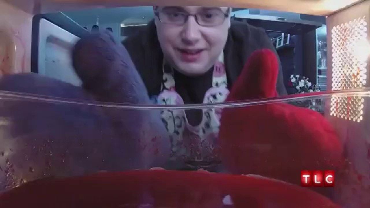 il veut faire fondre un ours en bonbon sur la poitrine de sa copine