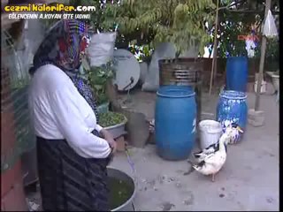 İşte Tecavüze Uğrayan Ördek