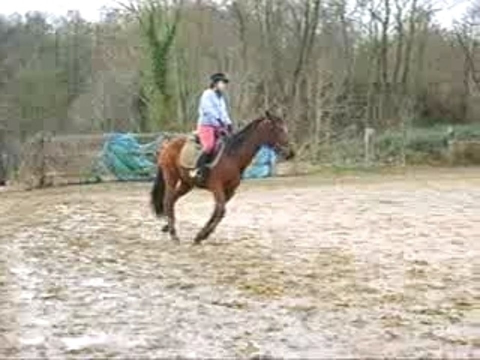 Moi au galop
