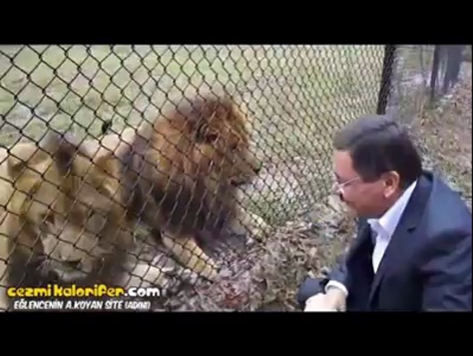 Aslanları Köpek Gibi Seven Melih Gökçek