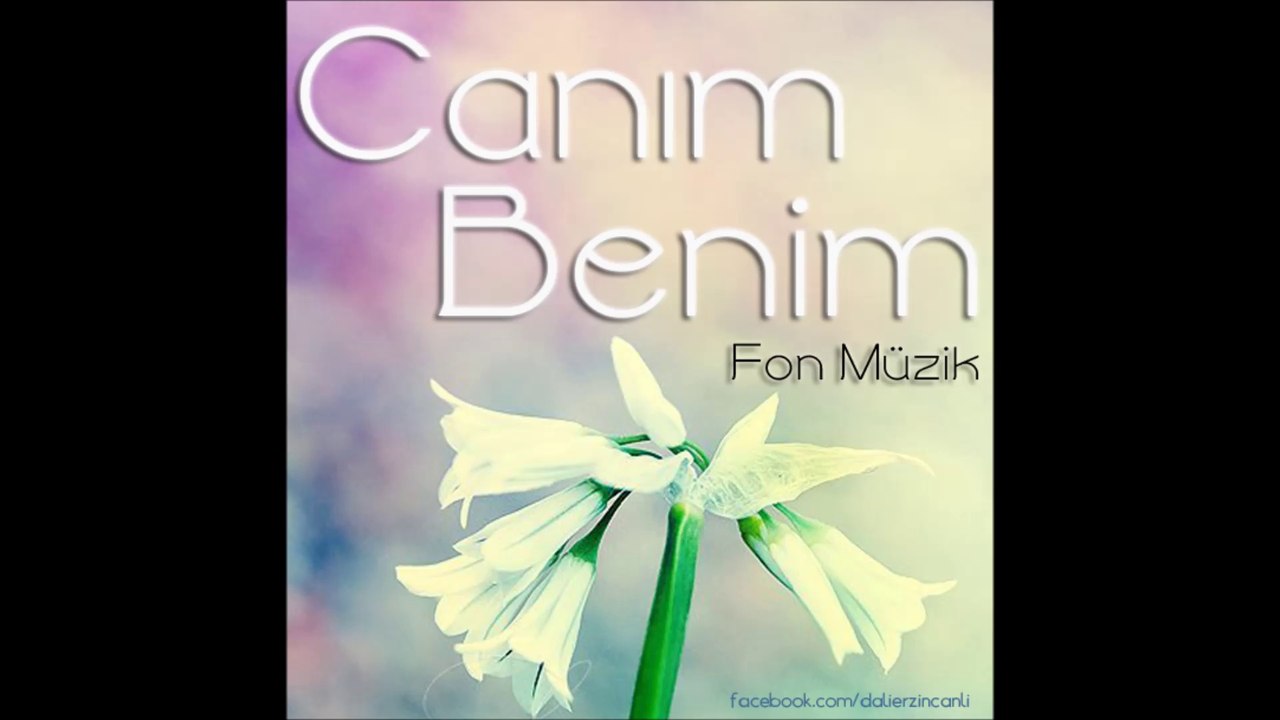 Canım Benim - Fon Müzik  (D. Ali Erzincanlı)