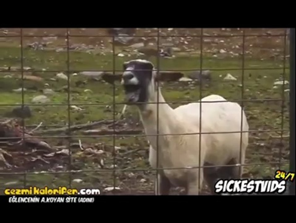 Skrillex feat Keçi - First Of The Year 2