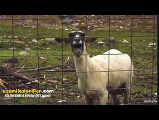 Skrillex feat Keçi - First Of The Year