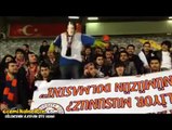 Harlem Shake'i Tersten Yapan Boz Baykuşlar