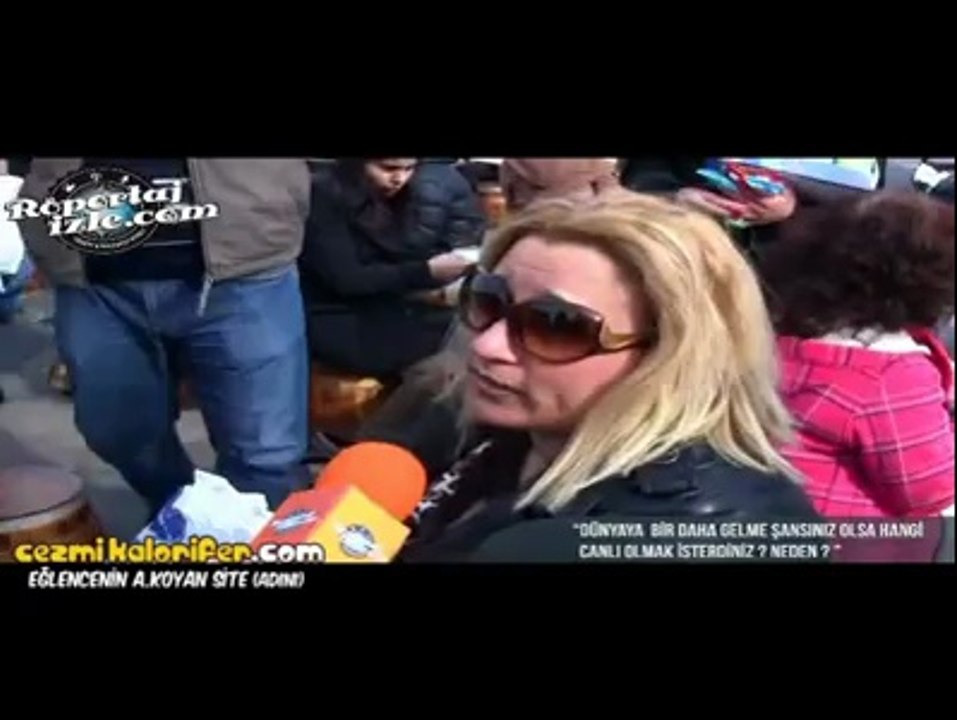 Dünya'ya Bir Daha Gelme Şansınız Olsa Hangi Canlı Olmak İsterdiniz?