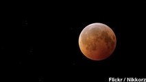 'Blood Moon' Attracts Stargazers, Conspiracy Theories