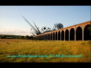 Hayber Fırtınası - Dursun Ali Erzincanlı