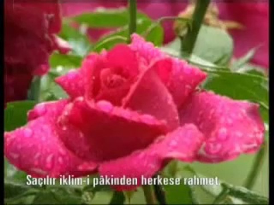 İnleyen Bir Nayım - Dursun Ali Erzincanlı