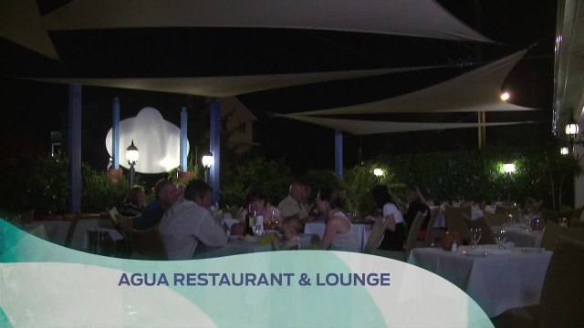 Upscale Dining in Cayman Islands