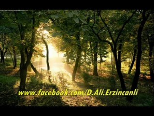 Naat - Dursun Ali Erzincanlı