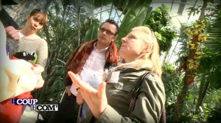 Zoo de Vincennes, le prix de la campagne de communication - MLM