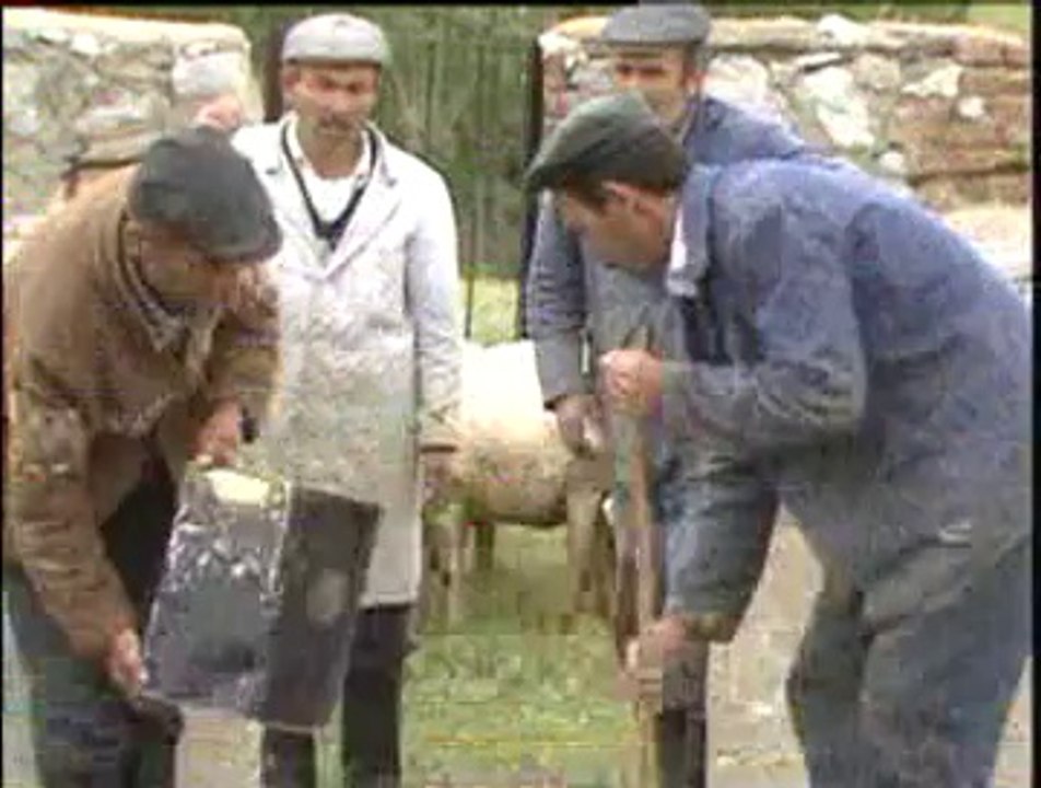 3-Koyunlarda Kırkım, Yapağı ve Banyo