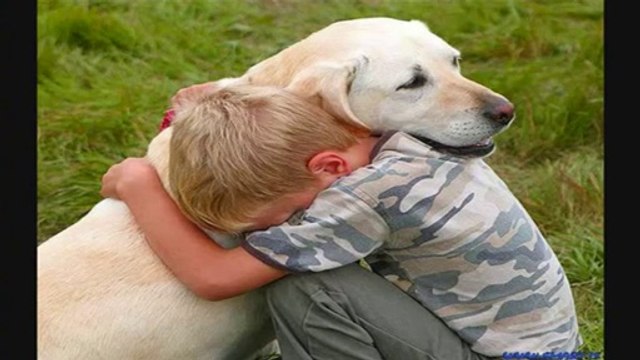 CİCİ KÖPEĞİM Hilmi Seyrek ve Düşgezginleri 2014