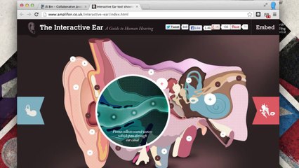 Learn Javascript 1 Tutorials | Intro to Javascript