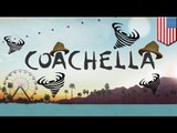 Coachella 2014: big names, big hats and bigger winds