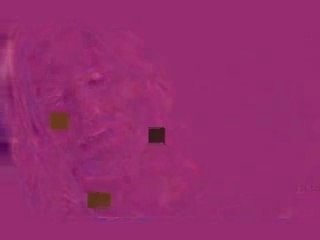 LOST L'amour brille sous les étoiles